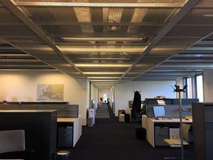 Qaelum has a new address Welcome to our new office 3